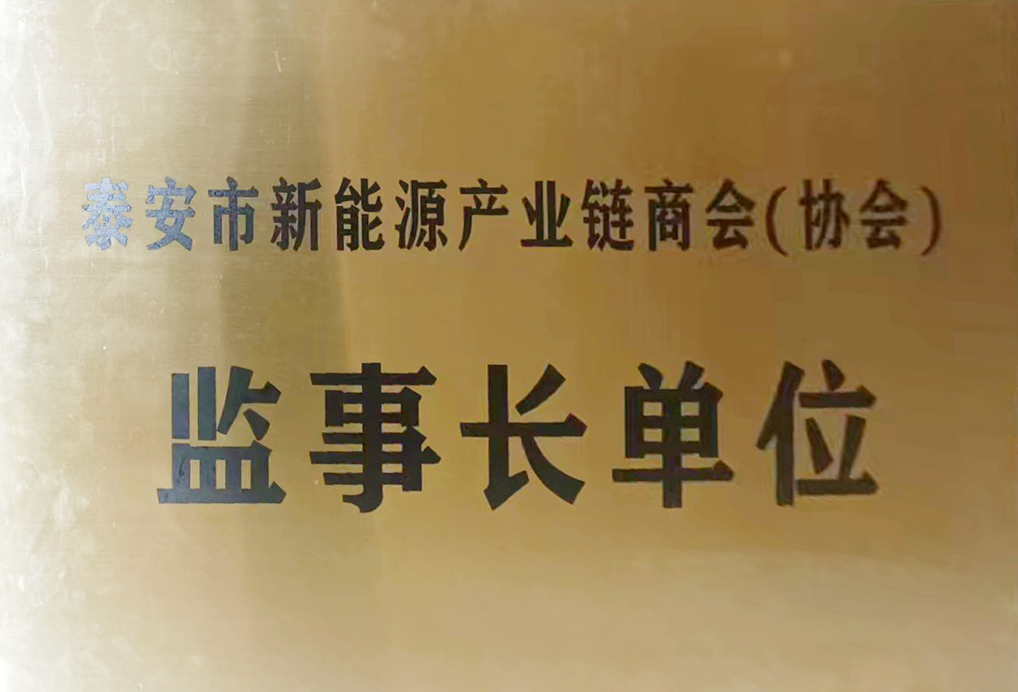 17.泰安市新能源產(chǎn)業(yè)鏈商會(huì)監(jiān)事長單位.jpg